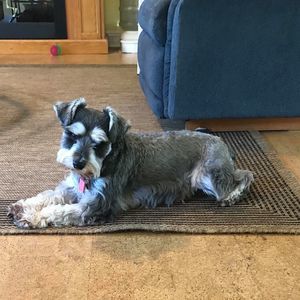 Meet your Posher, Jean